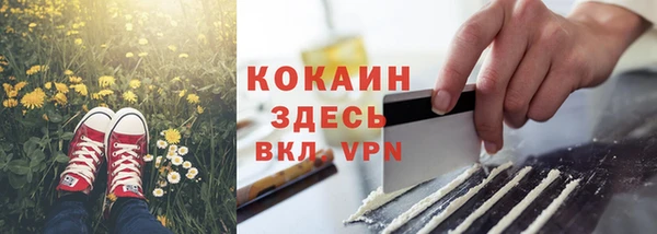 гашик Баксан