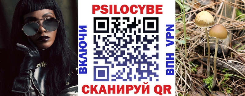 сайты даркнета телеграм Усть-Джегута Псилоцибиновые грибы мицелий