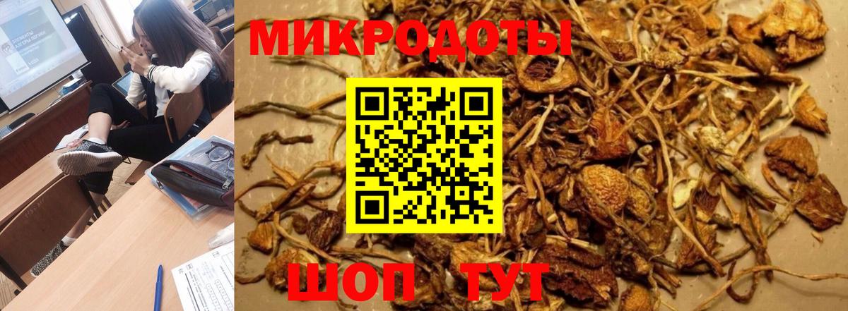 Галлюциногенные грибы Psilocybine cubensis Усть-Джегута